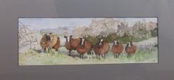 Welsh Sheep by Hazel Hoey