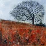 Lone Oak by rosemary Bonney