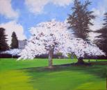 Blossom at Dartington by Debbie Newson