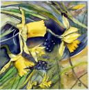 Daffodils, by Ann Styles