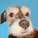 Dog Portrait by Debbie Newson