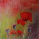 Poppies by Rosemary Bonney