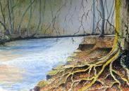 River Bovey by Valerie Davies