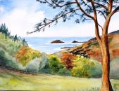 View from Coleton Fishacre by Valerie Davies